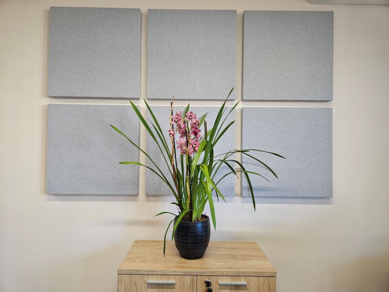 ALPHAcoustic-AP-profile-photo